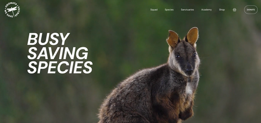 5 key elements of an ideal welcome series