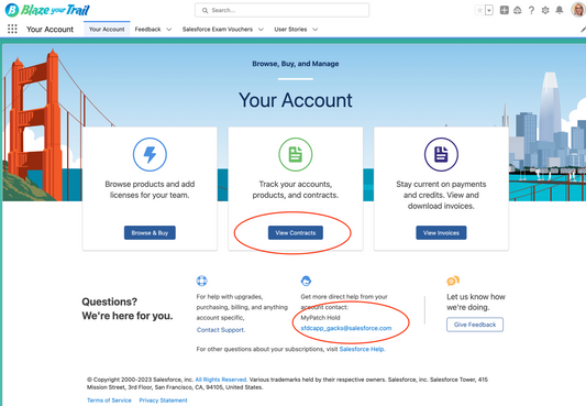 How to check who your Salesforce Account Executive Is