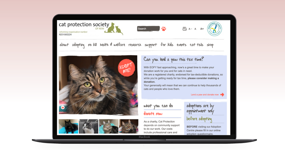 Cat Protection New South Wales Case Study